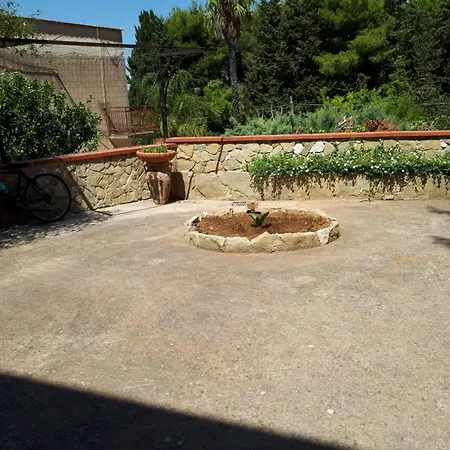 Sofia San Ciro 401 Ulmi